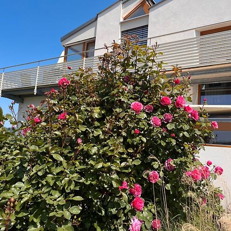 Ferienwohnungen Im Rosengarten 博德曼路德维希港 外观 照片